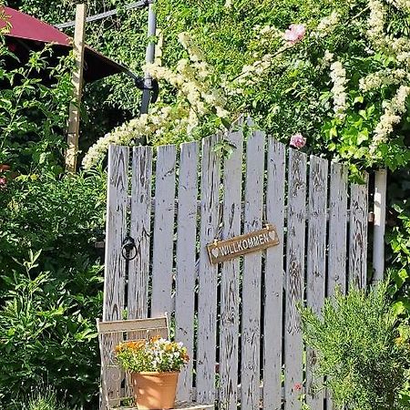 Gemuetliche Waldrandlage In Badenweiler Sehringen Ferienwohnung エクステリア 写真