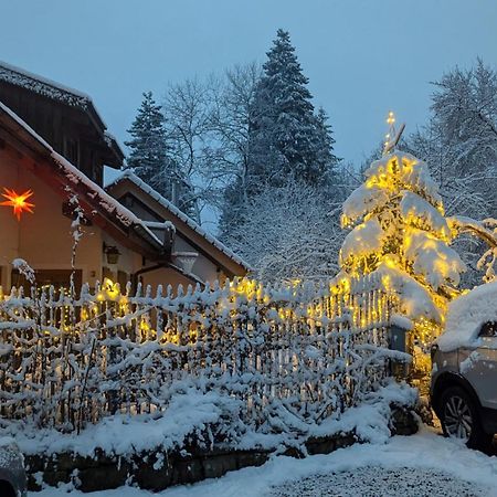 Gemuetliche Waldrandlage In Badenweiler Sehringen Ferienwohnung エクステリア 写真