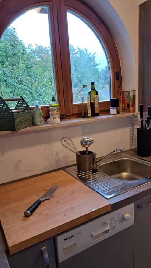 Gemuetliche Waldrandlage In Badenweiler Sehringen Ferienwohnung エクステリア 写真