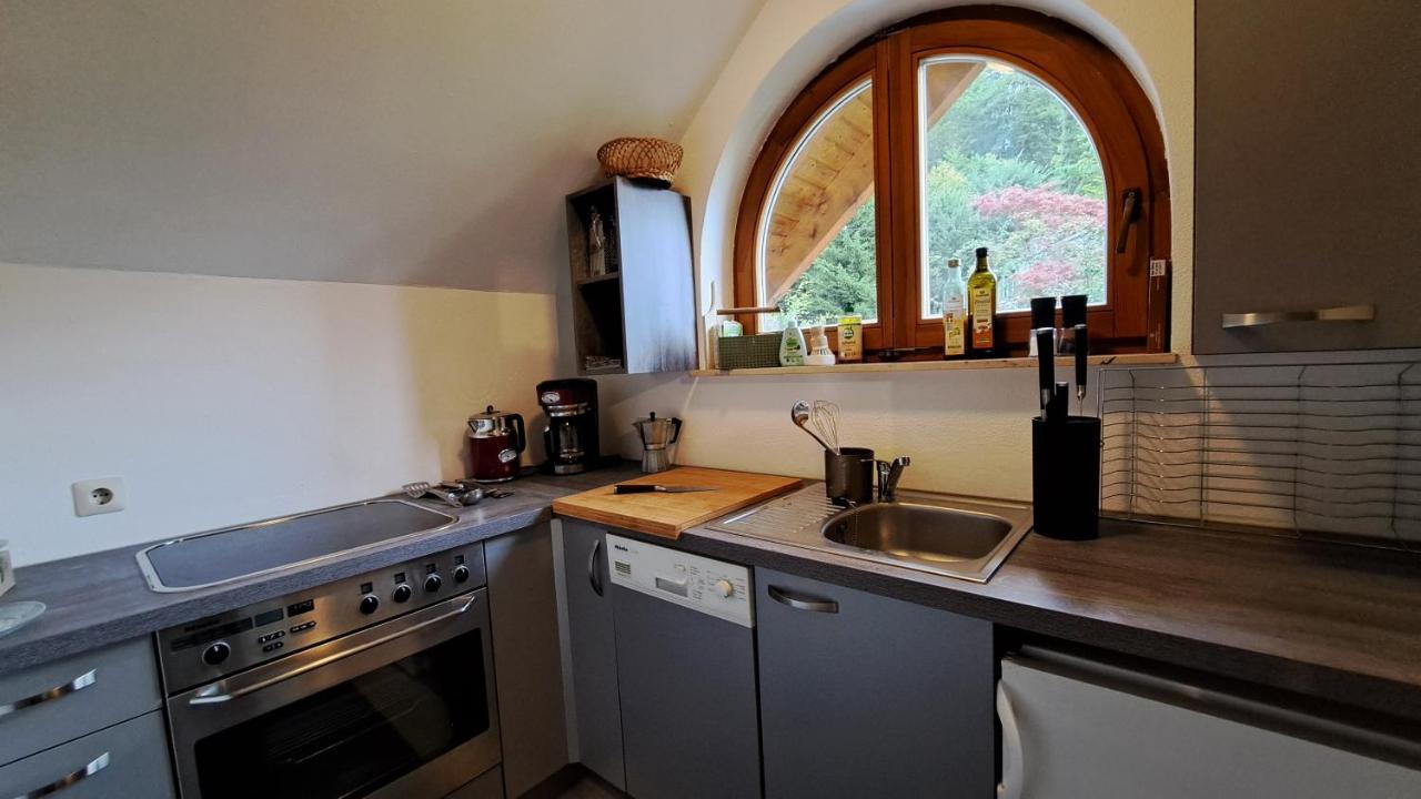 Gemuetliche Waldrandlage In Badenweiler Sehringen Ferienwohnung エクステリア 写真