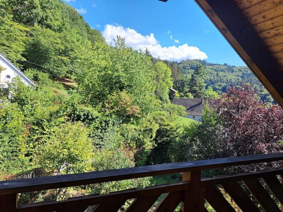 Gemuetliche Waldrandlage In Badenweiler Sehringen Ferienwohnung エクステリア 写真