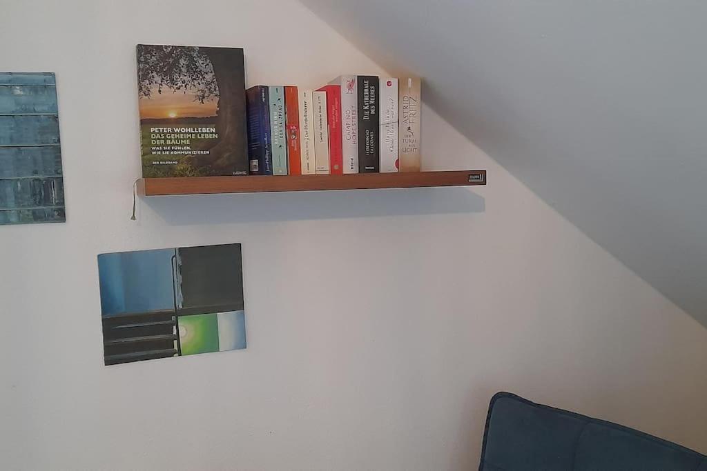 Gemuetliche Waldrandlage In Badenweiler Sehringen Ferienwohnung エクステリア 写真
