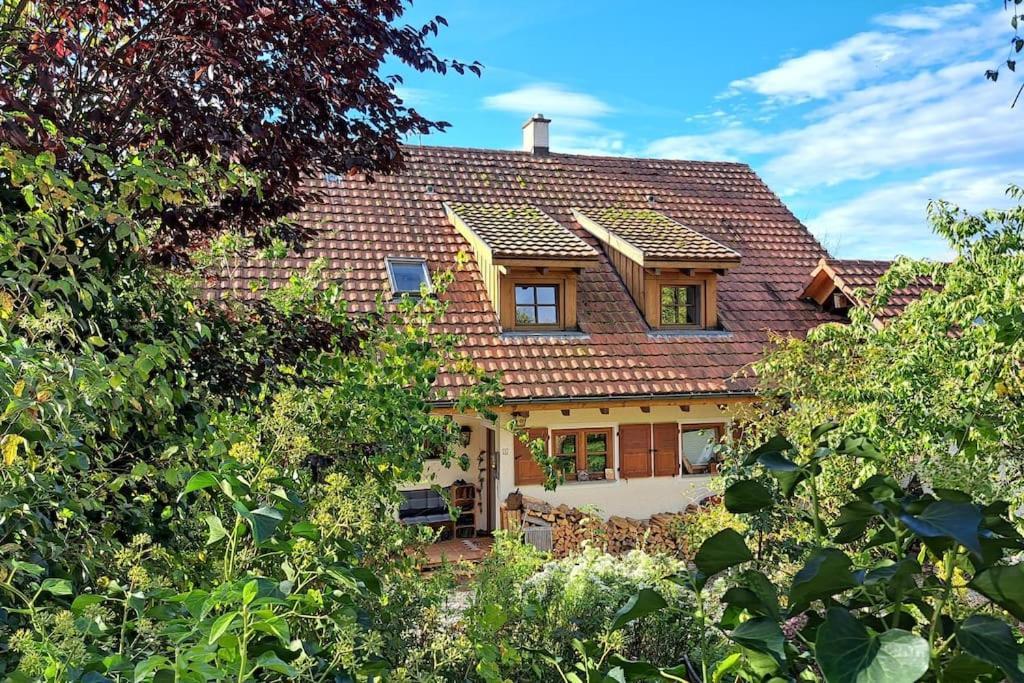 Gemuetliche Waldrandlage In Badenweiler Sehringen Ferienwohnung エクステリア 写真