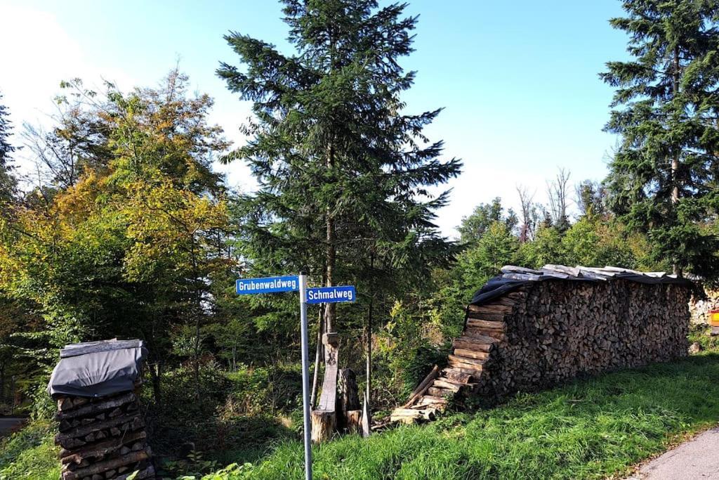 Gemuetliche Waldrandlage In Badenweiler Sehringen Ferienwohnung エクステリア 写真