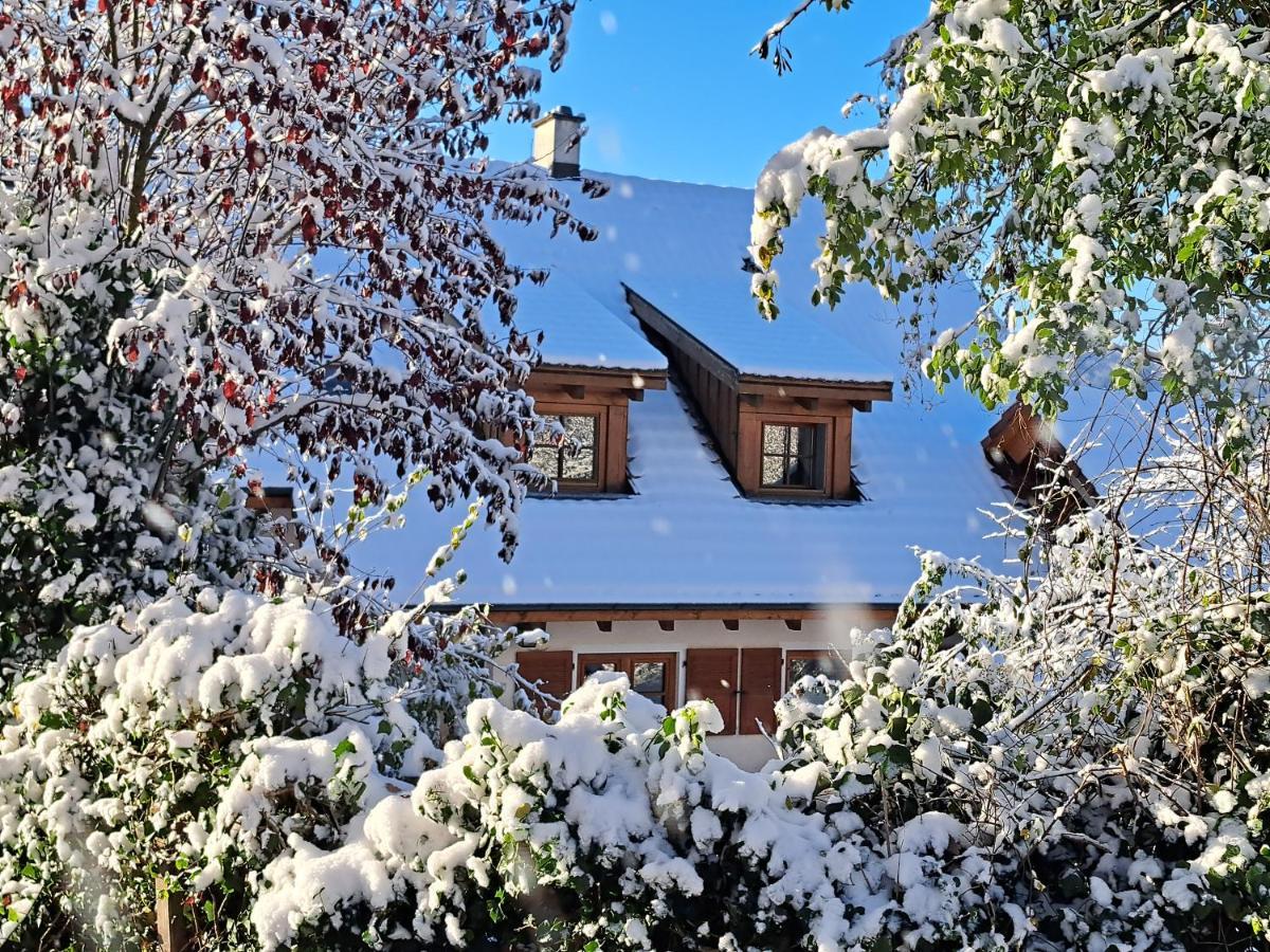 Gemuetliche Waldrandlage In Badenweiler Sehringen Ferienwohnung エクステリア 写真