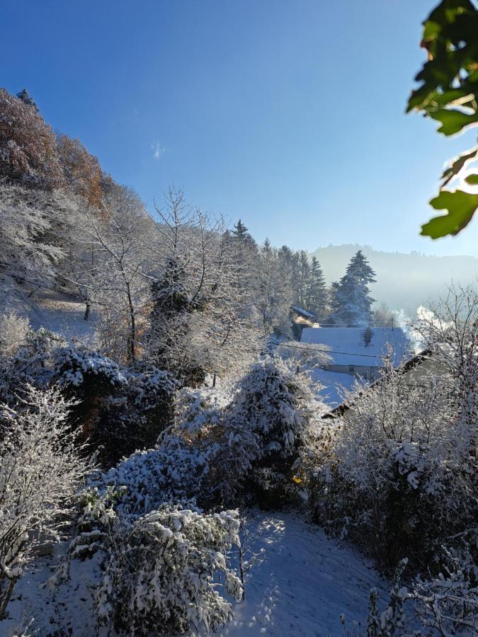 Gemuetliche Waldrandlage In Badenweiler Sehringen Ferienwohnung エクステリア 写真