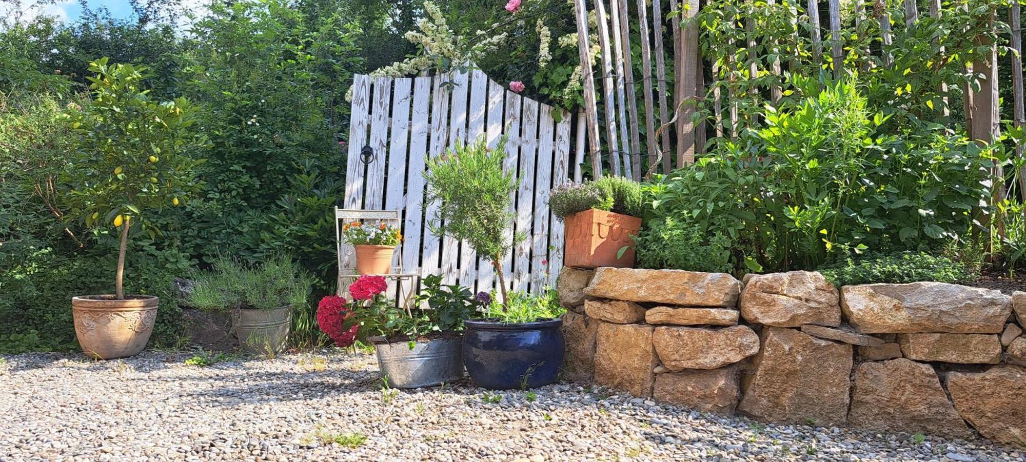 Gemuetliche Waldrandlage In Badenweiler Sehringen Ferienwohnung エクステリア 写真