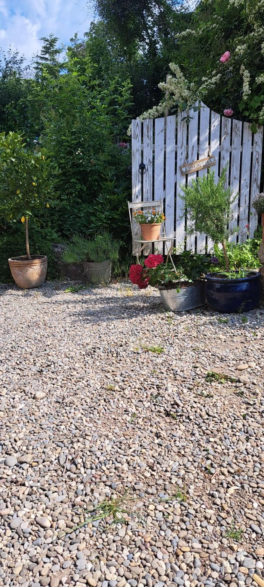 Gemuetliche Waldrandlage In Badenweiler Sehringen Ferienwohnung エクステリア 写真