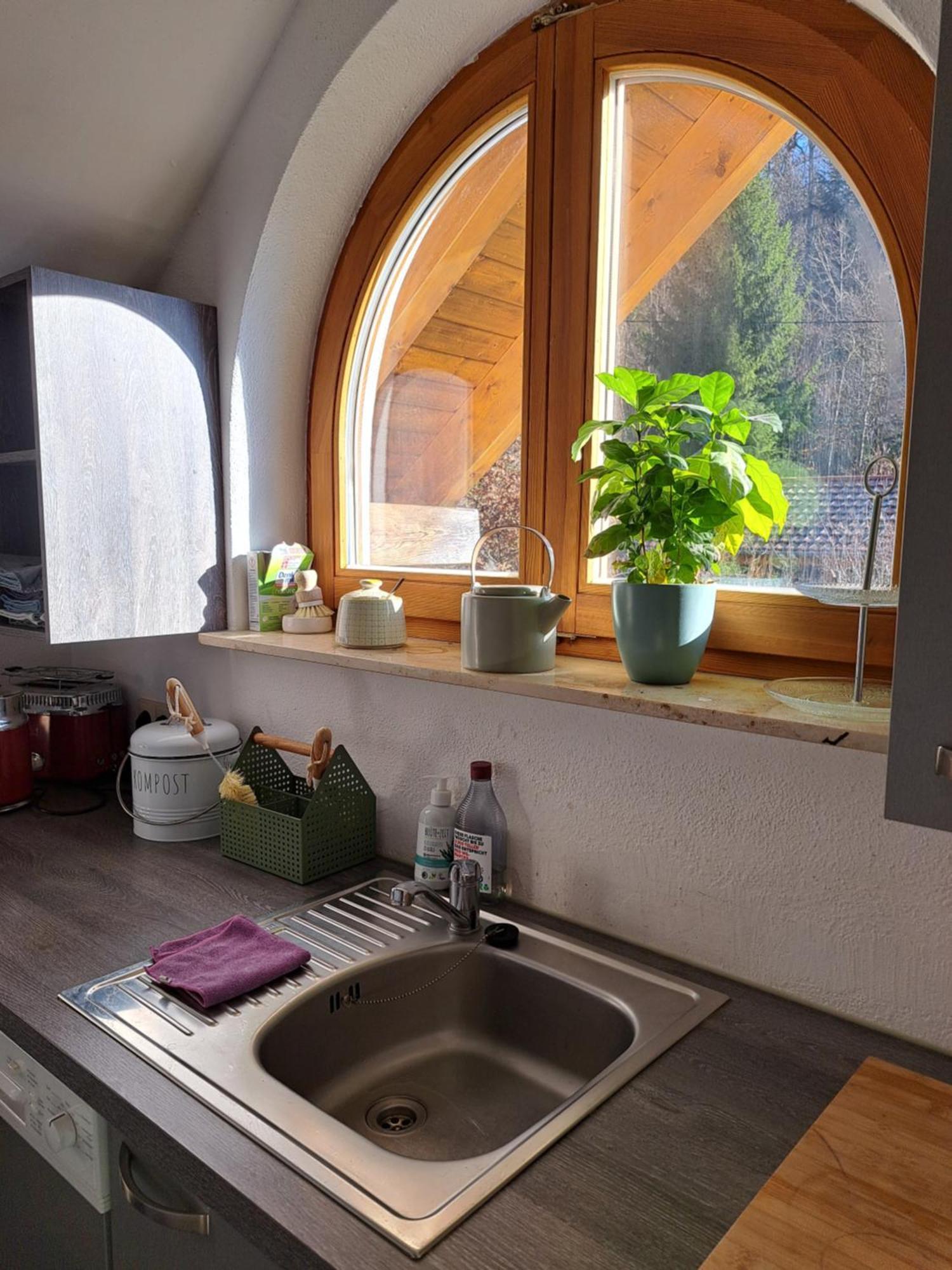 Gemuetliche Waldrandlage In Badenweiler Sehringen Ferienwohnung エクステリア 写真