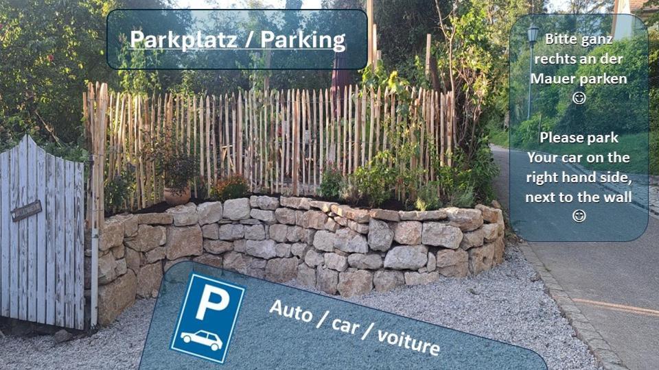 Gemuetliche Waldrandlage In Badenweiler Sehringen Ferienwohnung エクステリア 写真